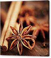 Exotic  Spice Canvas Print