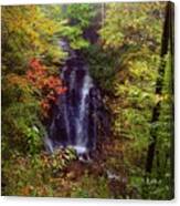 Fall At Soco Falls Canvas Print