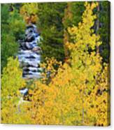 Fall Color Along The South Fork Canvas Print
