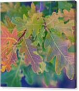 Fall In The Summer Canvas Print
