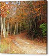 Fall Leaves On Path Canvas Print