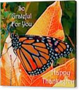 Fall Monarch Thanksgiving Canvas Print