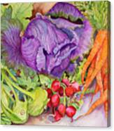 Fall Vegetables Canvas Print