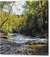 Falling Leaves - Wissahickon Creek Canvas Print