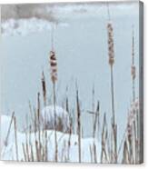 Falling Snow Upon Cattails Along Pond Canvas Print