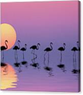 Family Flamingos Canvas Print