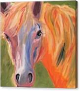 Fantasy Filly Canvas Print