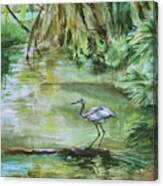 Far Harbor Heron Canvas Print