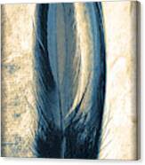 Feather Of A Blue Hue Canvas Print