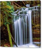 Fern Falls Canvas Print