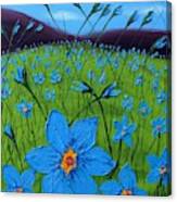 Field Of Blue Flax Flowers #4 Canvas Print