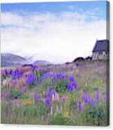 Field Of Lupines Canvas Print