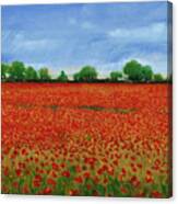 Field Of Poppies I Canvas Print