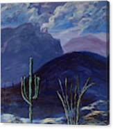 Finger Rock Evening, Tucson Canvas Print