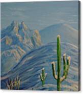 Finger Rock Trail Snow, Tucson, Arizona Canvas Print