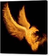 Fire Bird Canvas Print