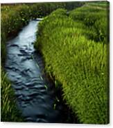 Fireflies And River Canvas Print