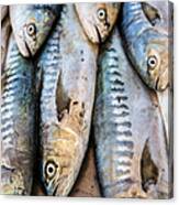 Fish In Market, Taghazout, Morocco Canvas Print