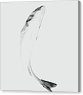 Fish On White Background, Close-up Canvas Print