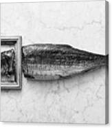 Fish Portrait Canvas Print