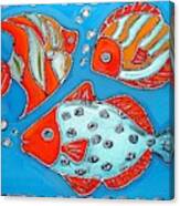Fish Trio Canvas Print