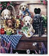 Five Puppies Canvas Print