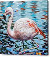 Flamingos #2 Canvas Print