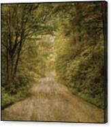 Flannery Fork Road No. 1 Canvas Print