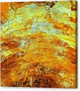 Flinders Ancient Gorge Canvas Print