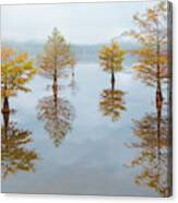 Floating Into Fall Canvas Print