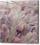 Floral Abstract In Pink Canvas Print