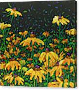 Floral Interpretation - Black-eyed Susans Canvas Print
