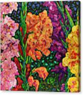 Floral Interpretation - Gladiolus Canvas Print