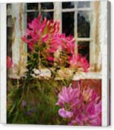 Flower By The Window Canvas Print