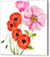 Flower Composition Iii Canvas Print
