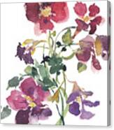 Flower Series 12 Canvas Print