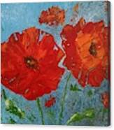 Poppy Flowers Canvas Print