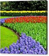 Flowers In Colors And Shape Canvas Print
