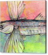 Flying Fish From Barbados Canvas Print