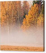 Fog And Fall Colors Canvas Print