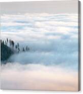 Fog And Forest Iii Canvas Print