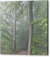 Foggy Morning Woodlands Path Canvas Print