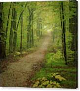 Foggy Path Canvas Print