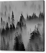 Foggy Yosemite Ii Canvas Print