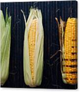 Foodprocess #1- Grilled Corn Canvas Print