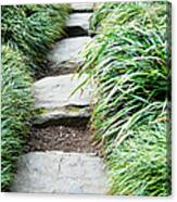 Footpath Through Zen Garden, Uk Canvas Print