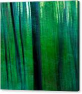 Forest Abstract Near Mohonk Mountain Canvas Print