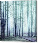 Forest Beauty In Winter Mist Canvas Print