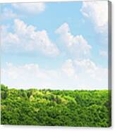 Forest Landscape With Beautiful Scenic Canvas Print