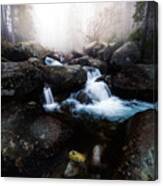 Forest Stream - High Tatras Canvas Print